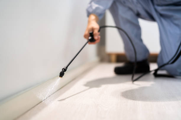 Licensed Mosquito Control service in Cupertino, CA - Show Me Pest Control