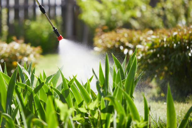 24/7 Emergency Mosquito Control experts in Cupertino, CA