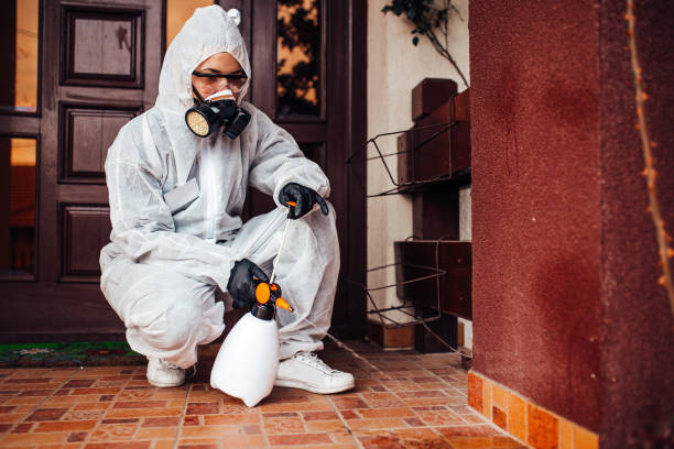 Reliable Mosquito Control contractor in Cupertino, CA by Show Me Pest Control